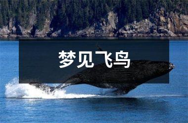 梦见飞鸟