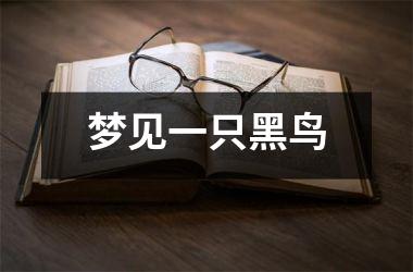 梦见一只黑鸟