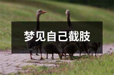 <h3>梦见自己截肢