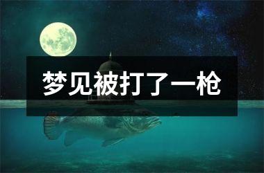 <h3>梦见被打了一枪