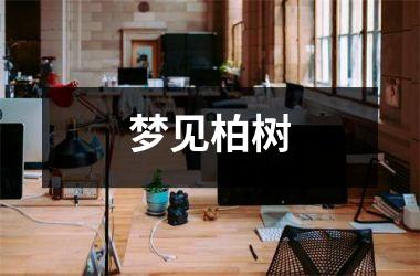 <h3>梦见柏树