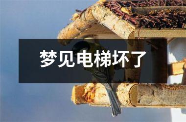 <h3>梦见电梯坏了