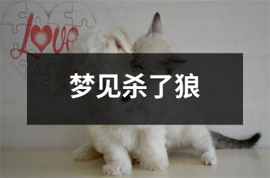 <h3>梦见杀了狼