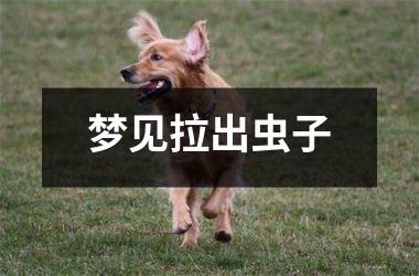 梦见拉出虫子