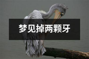 梦见掉两颗牙