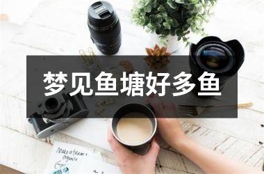 <h3>梦见鱼塘好多鱼