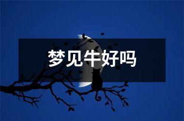 <h3>梦见牛好吗