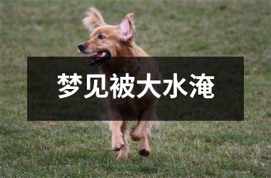 <h3>梦见被大水淹