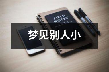 <h3>梦见别人小