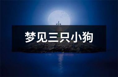 <h3>梦见三只小狗