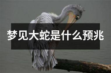 梦见大蛇是什么预兆