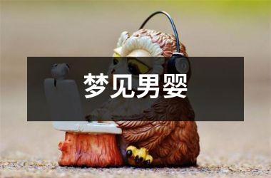 <h3>梦见男婴