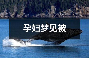 <h3>孕妇梦见被