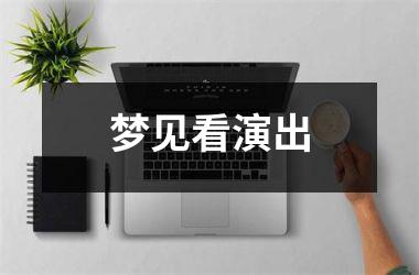 <h3>梦见看演出