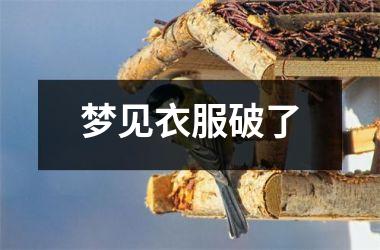 <h3>梦见衣服破了