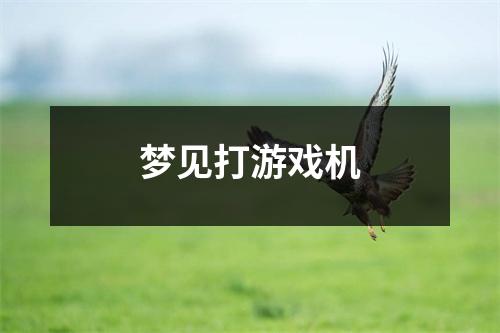 <h3>梦见打游戏机