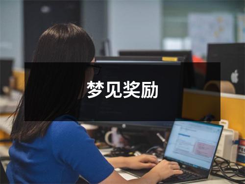 <h3>梦见奖励