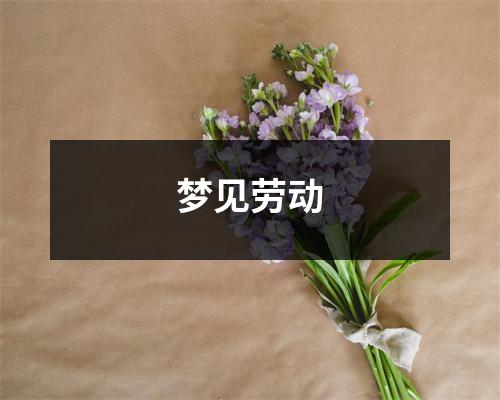 <h3>梦见劳动