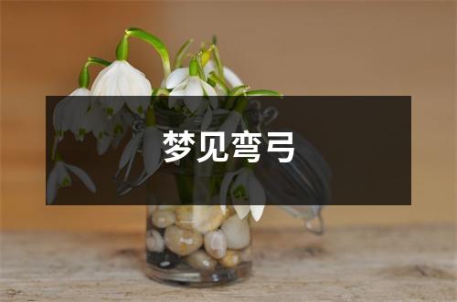 <h3>梦见弯弓