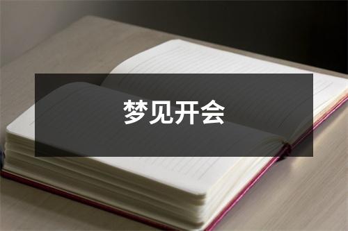 <h3>梦见开会