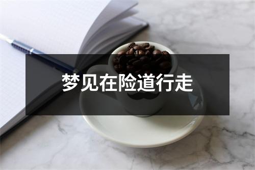 <h3>梦见在险道行走