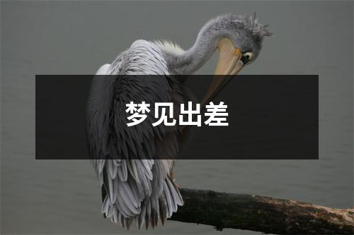 <h3>梦见出差