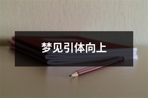 <h3>梦见引体向上