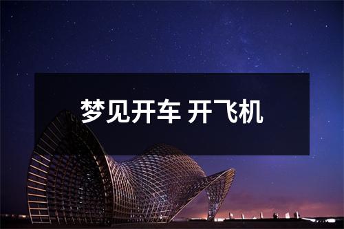 <h3>梦见开车开飞机