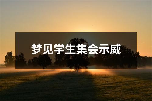 <h3>梦见学生集会示威