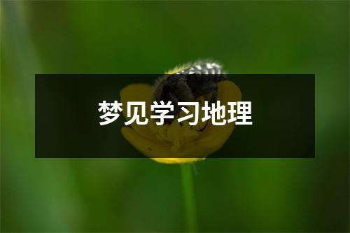 <h3>梦见学习地理