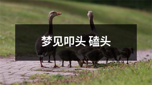 梦见叩头磕头