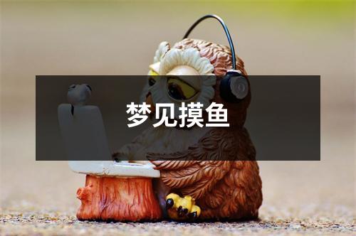 <h3>梦见摸鱼