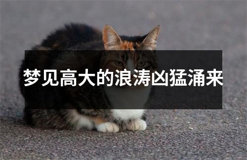 <h3>梦见高大的浪涛凶猛涌来