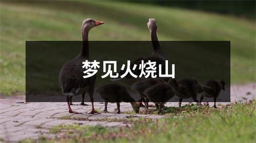 <h3>梦见火烧山