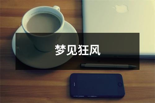 <h3>梦见狂风