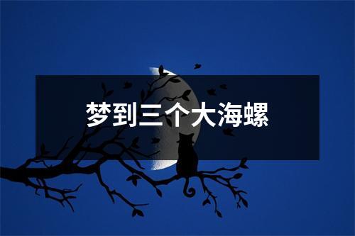 <h3>梦到三个大海螺