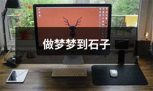 <h3>做梦梦到石子