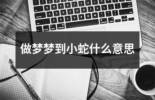 <h3>做梦梦到小蛇什么意思
