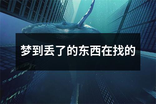 <h3>梦到丢了的东西在找的