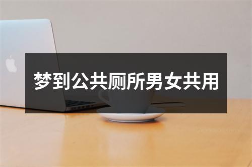 <h3>梦到公共厕所男女共用