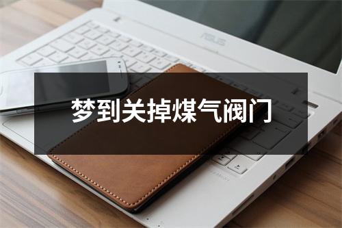 <h3>梦到关掉煤气阀门