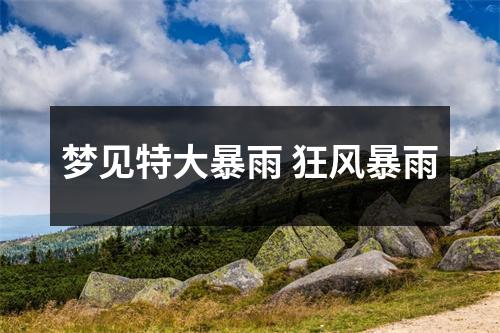 梦见特大暴雨狂风暴雨