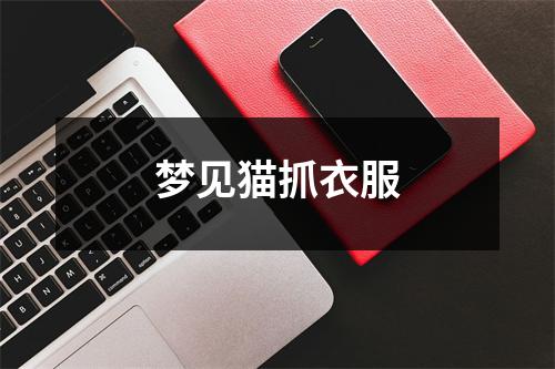 梦见猫抓衣服