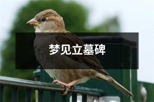 梦见立墓碑
