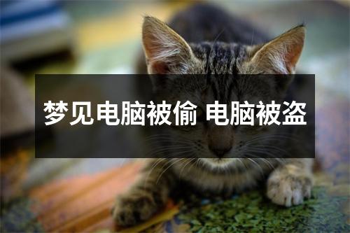 <h3>梦见电脑被偷电脑被盗