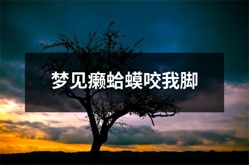 <h3>梦见癞蛤蟆咬我脚