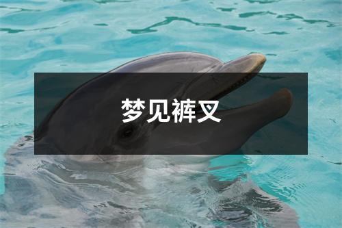 <h3>梦见裤叉