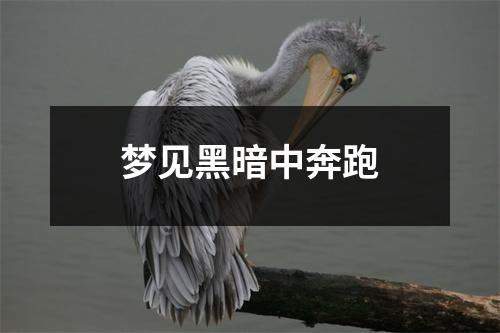 <h3>梦见黑暗中奔跑
