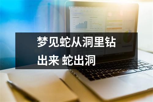 <h3>梦见蛇从洞里钻出来蛇出洞