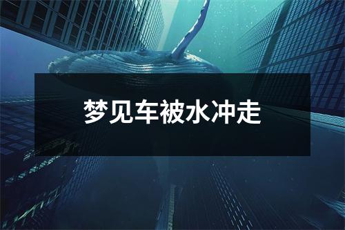 <h3>梦见车被水冲走